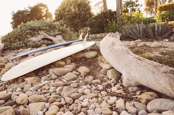 Brown Surfboard Near Log