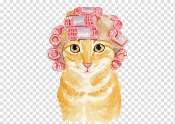 Brown tabby cat with pink hair curlers painting, Siamese cat Kitten Watercolor: Animals Watercolor painting, A strange cat transparent background PNG clipart