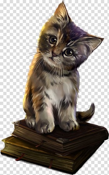 Brown tabby kitten on books , Savannah cat Magic Cat Academy Kitten Dog Halloween, Curious kitten transparent background PNG clipart