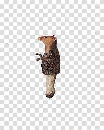 , brown taxidermy animal transparent background PNG clipart