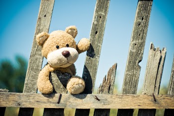 Brown Teddy Bear on Brown Wooden Fence