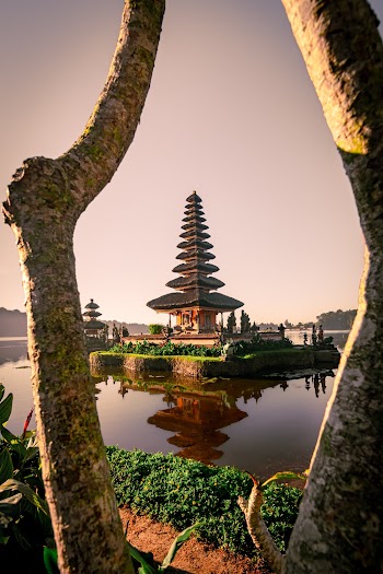 Brown Temple