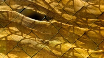 brown textile