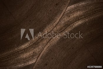 Brown textured wall background