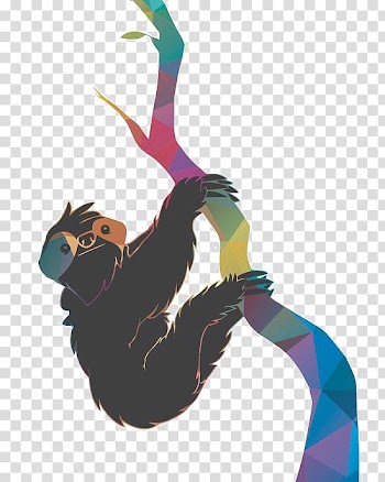 Brown-throated sloth Koala Illustration, Watercolor Koala transparent background PNG clipart