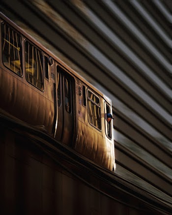 Brown Train