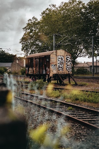Brown Train on Railway