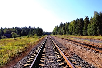 brown train rails