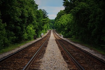 Brown Train Railway Between Green Trees at Daytime