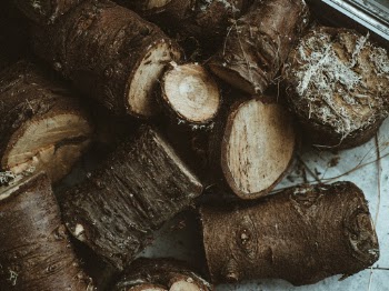 Brown Tree Log