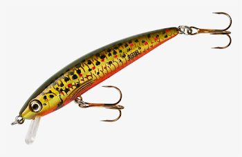 Brown Trout - Fishing Lure - Free Transparent PNG Download - PNGkey