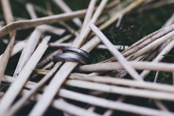 Brown Twigs