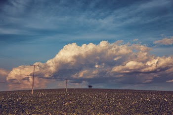 Brown Utility Post Under White Clouds