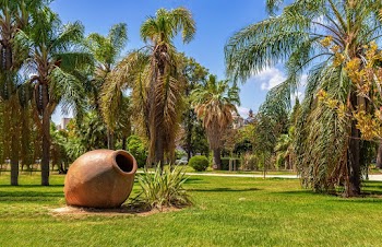 Brown Vase Near Coconut Tree