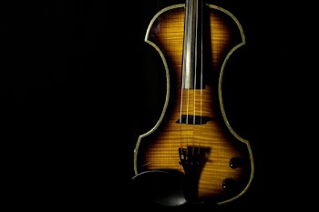 brown violin