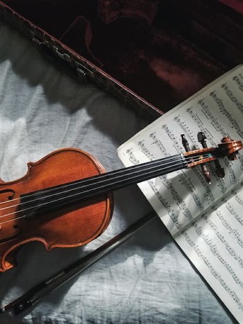 brown violin