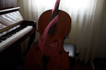 brown violin beside spinet piano