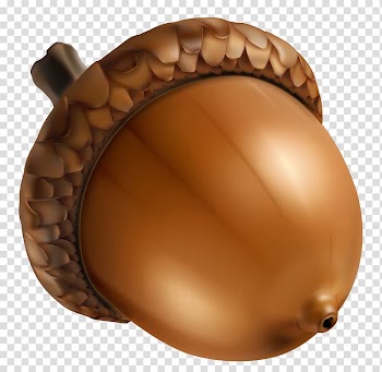 Brown walnut illustration, Acorn , Acorn transparent background PNG clipart
