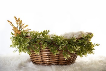 Brown Wicker Basket