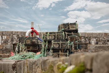 Brown Wickers Baskets