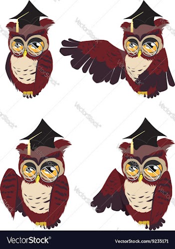Brown Wise Owl2 vector image