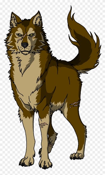 Brown Wolf Drawing - Brown Wolf Png Drawing