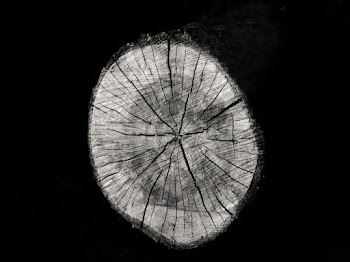 Brown Wood Slab