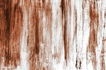 Brown wood texture | Free stock vector - 895462