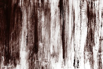Brown wood texture | Free stock vector - 895496