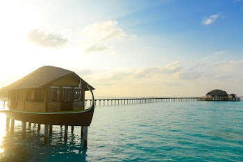 Brown Wooden Beach House On Body Of Water