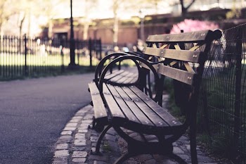 brown wooden bench beside black fence