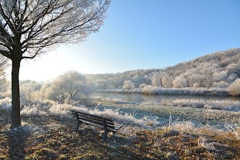 Brown Wooden Bench Beside Tree Near River