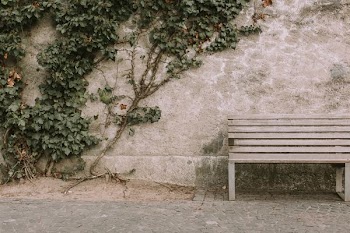 brown wooden bench beside wall