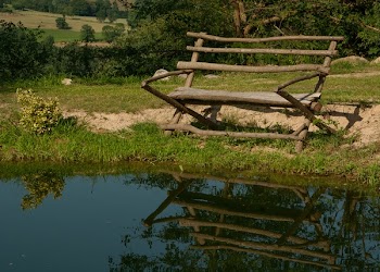 Brown Wooden Bench on Green Grass Near on Body of Water