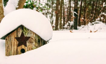 Brown Wooden Birdhouse Covered With Snow