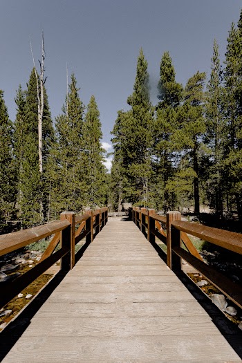 Brown Wooden Boardwalk