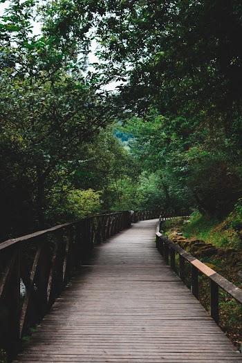 Brown Wooden Boardwalk
