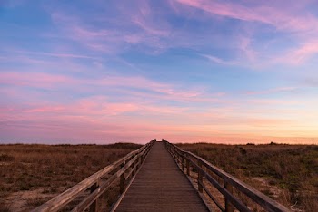 Brown Wooden Bridge