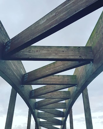 Brown Wooden Bridge