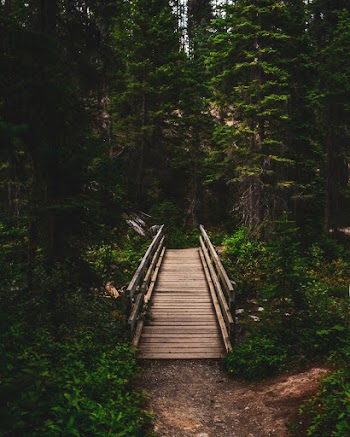 Brown Wooden Bridge