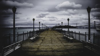 Brown Wooden Bridge Near Body of Water