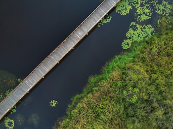 Brown Wooden Bridge over River