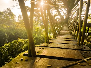 Brown Wooden Bridge Under Blue Sky