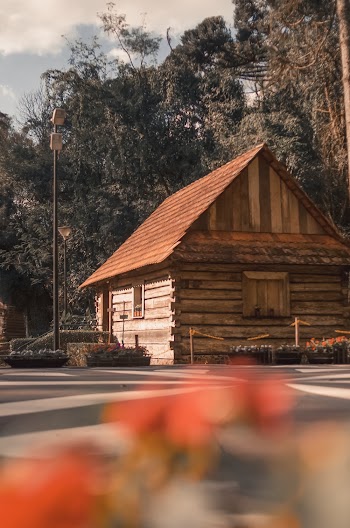 Brown Wooden Cabin