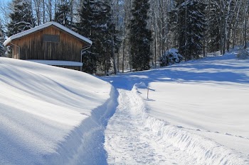 Brown Wooden Cabin Beside Snow