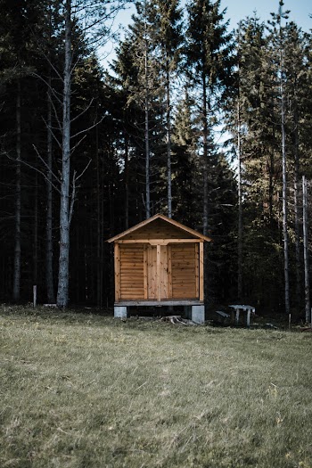 Brown Wooden Cabin Near Trees