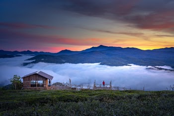 Brown Wooden Cabin With View Of Mountains