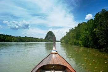 Brown Wooden canoe near trees