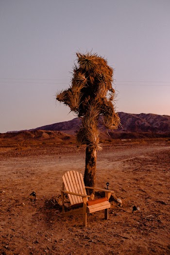 Brown Wooden Chair Beside Tree
