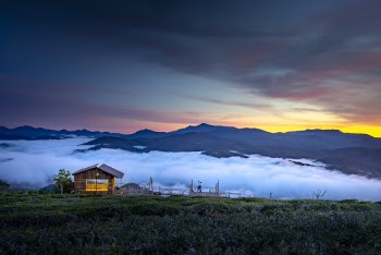 Brown Wooden Cottage in Green Countryside
